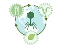 International workshop ”Combating antimicrobial resistance using bacteriophages for eco-sustainable agriculture and food systems-ECOPHAGE”