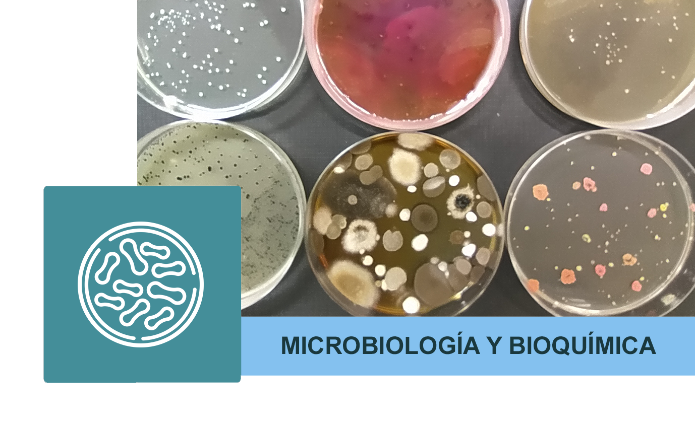 Departamento de Microbiología y Bioquímica