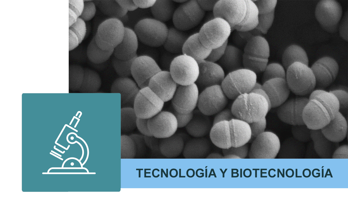 Departamento de Tecnología y Biotecnología