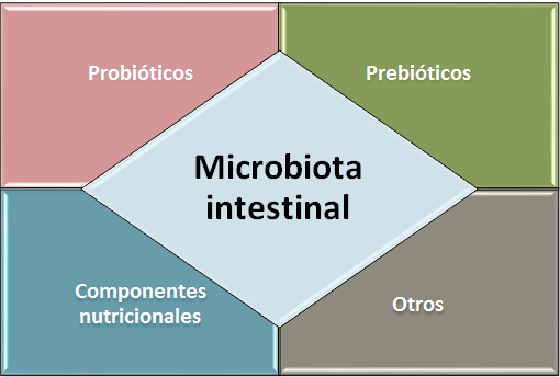 microbiota_20intestinal